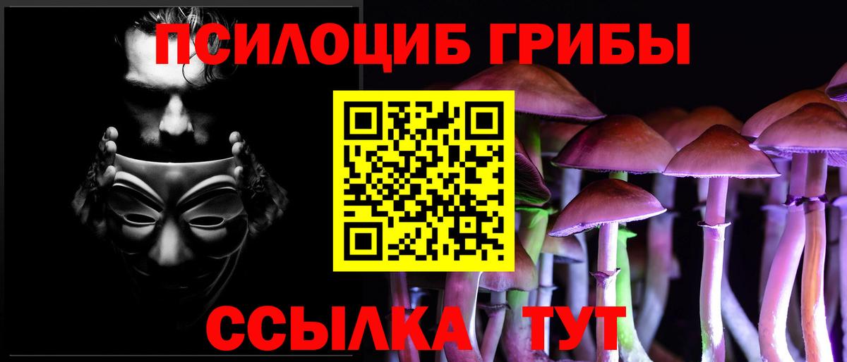 Псилоцибиновые грибы Psilocybine cubensis Саров